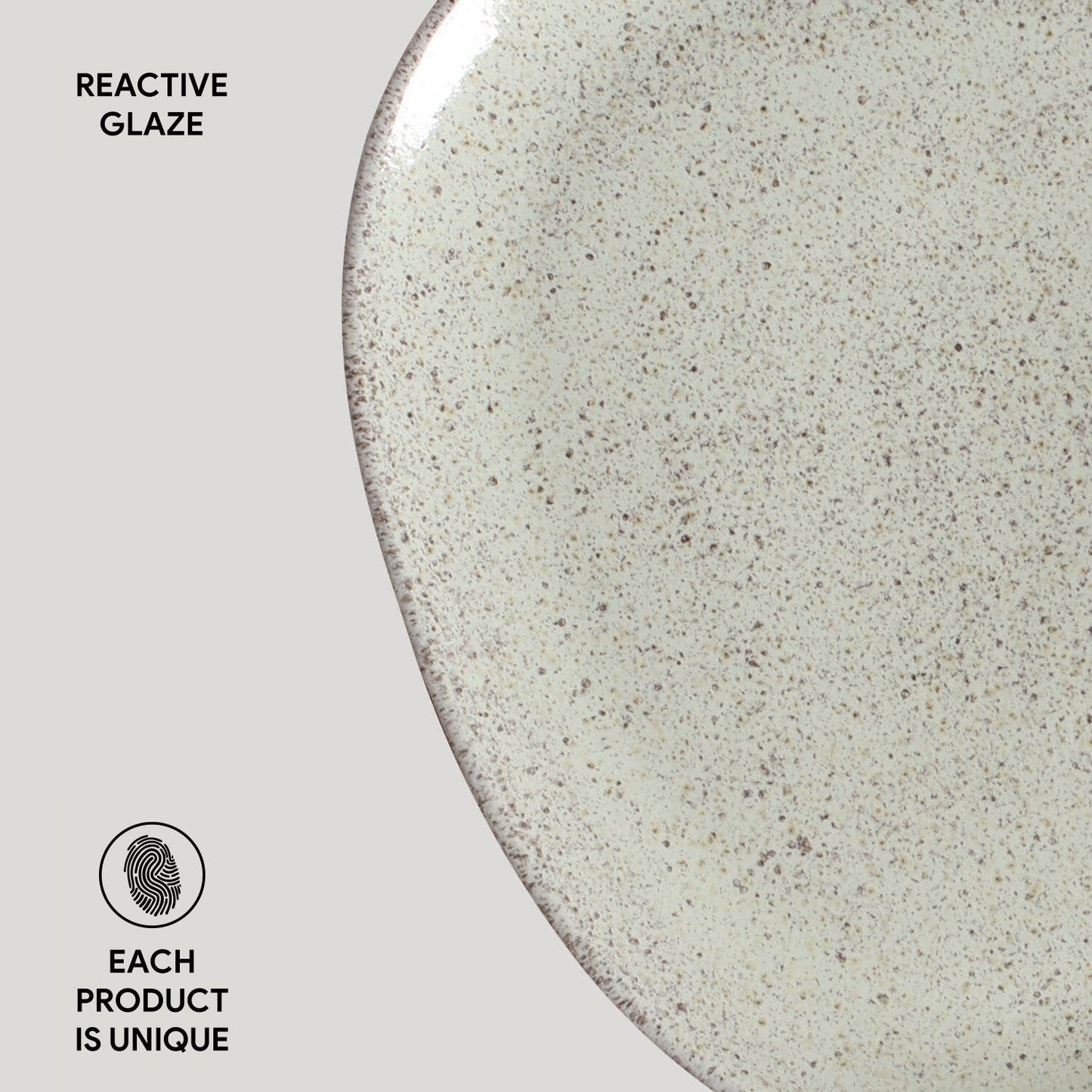 Oval Dinner Plate Set of 6