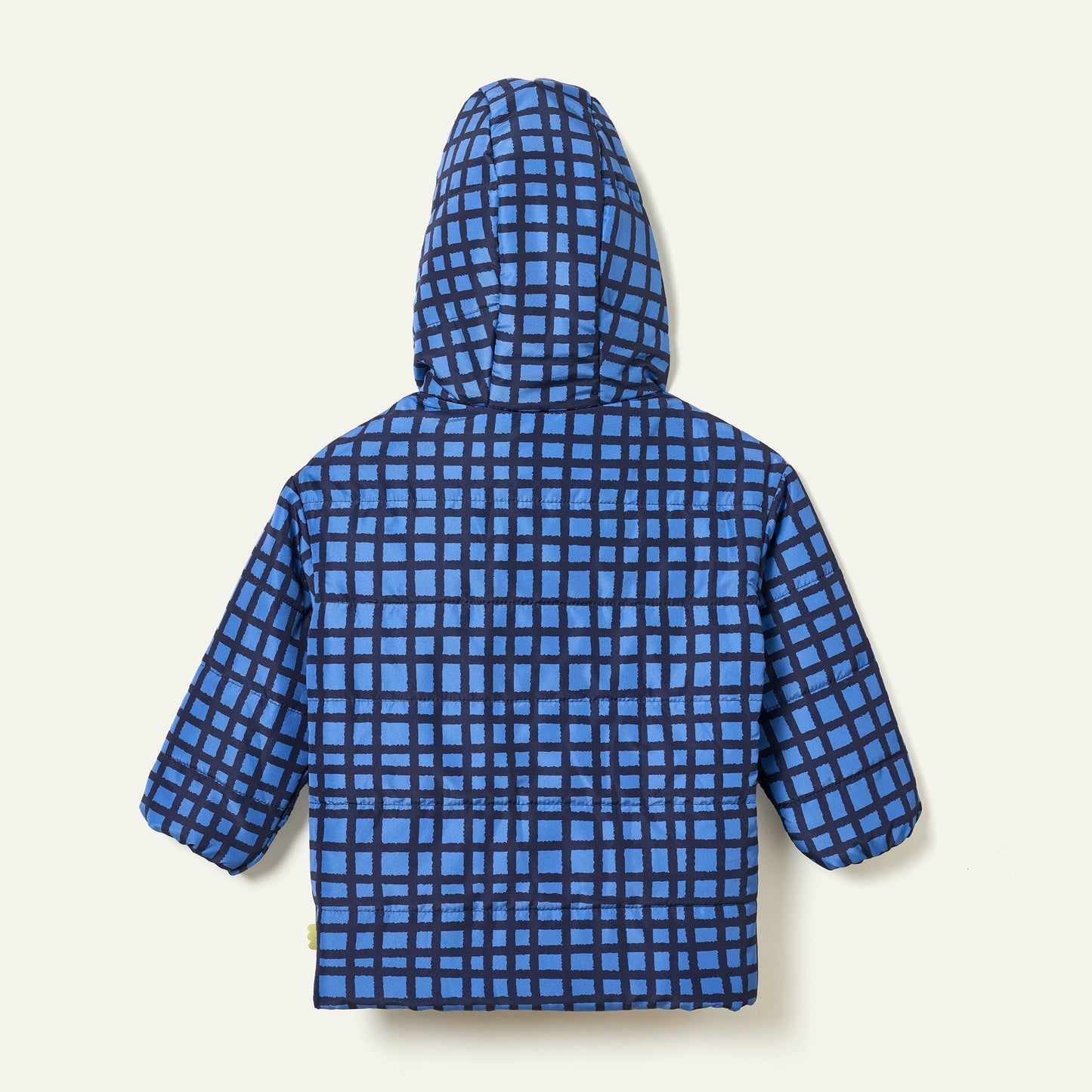 Blue Grid Puffer