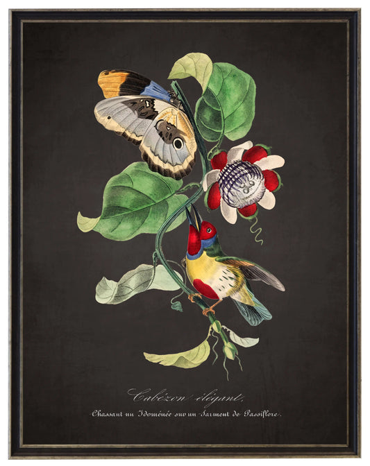 Vintage barbet and flower print on a distressed black background in a black and brushed silver frame sized 16x20