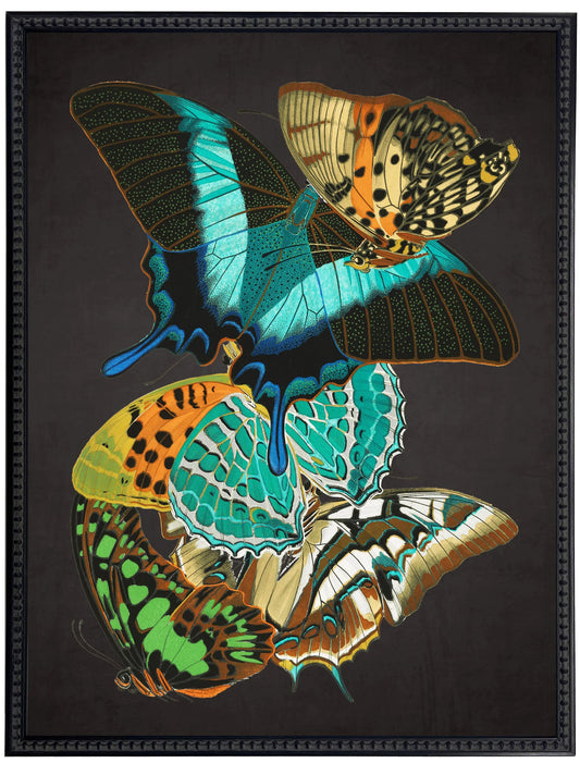 Vintage bright multi butterfly print on a distressed black background in a beaded black frame sized 18x24