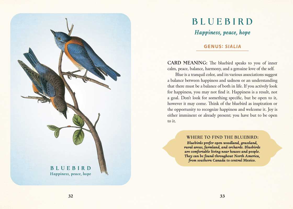 The Spiritual Meaning of Birds Oracle Deck