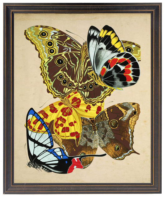 Vintage bright multi butterfly print on a distressed background in a copper and black shaped frame sized 18x24