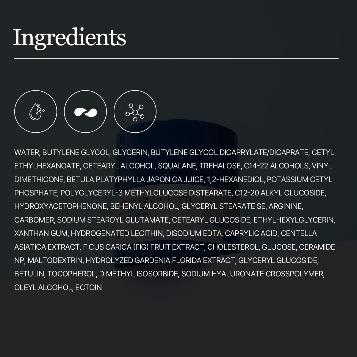 Round Lab Birch Juice Moisturizing Intensive Cream