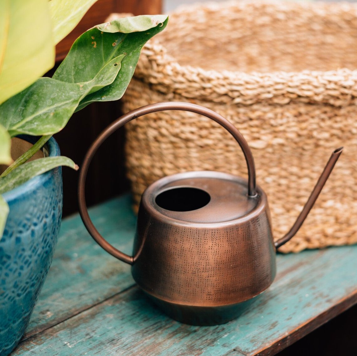 Antique Copper Watering Can - Osadia Concept Store