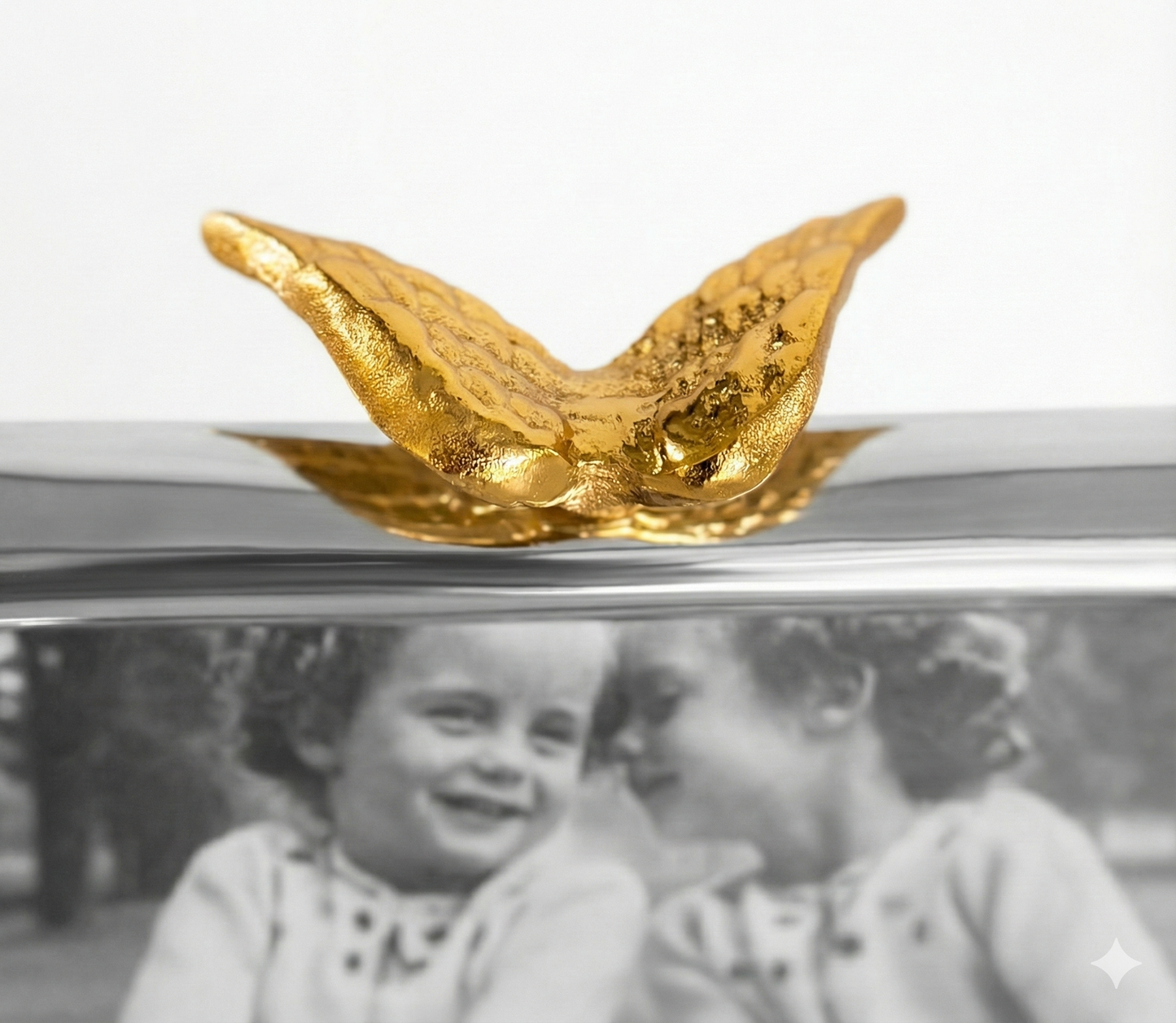 Angelwing Frame