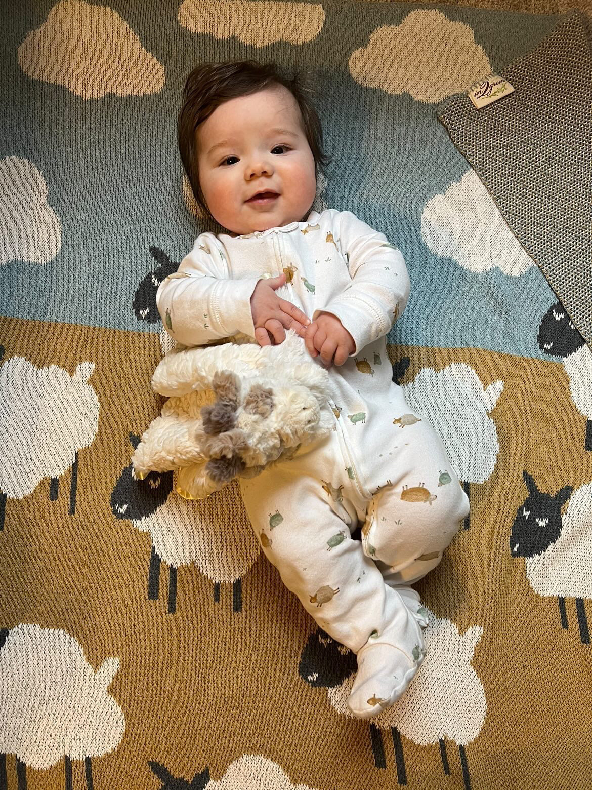 Baby Sheep - Cotton Knit Blanket
