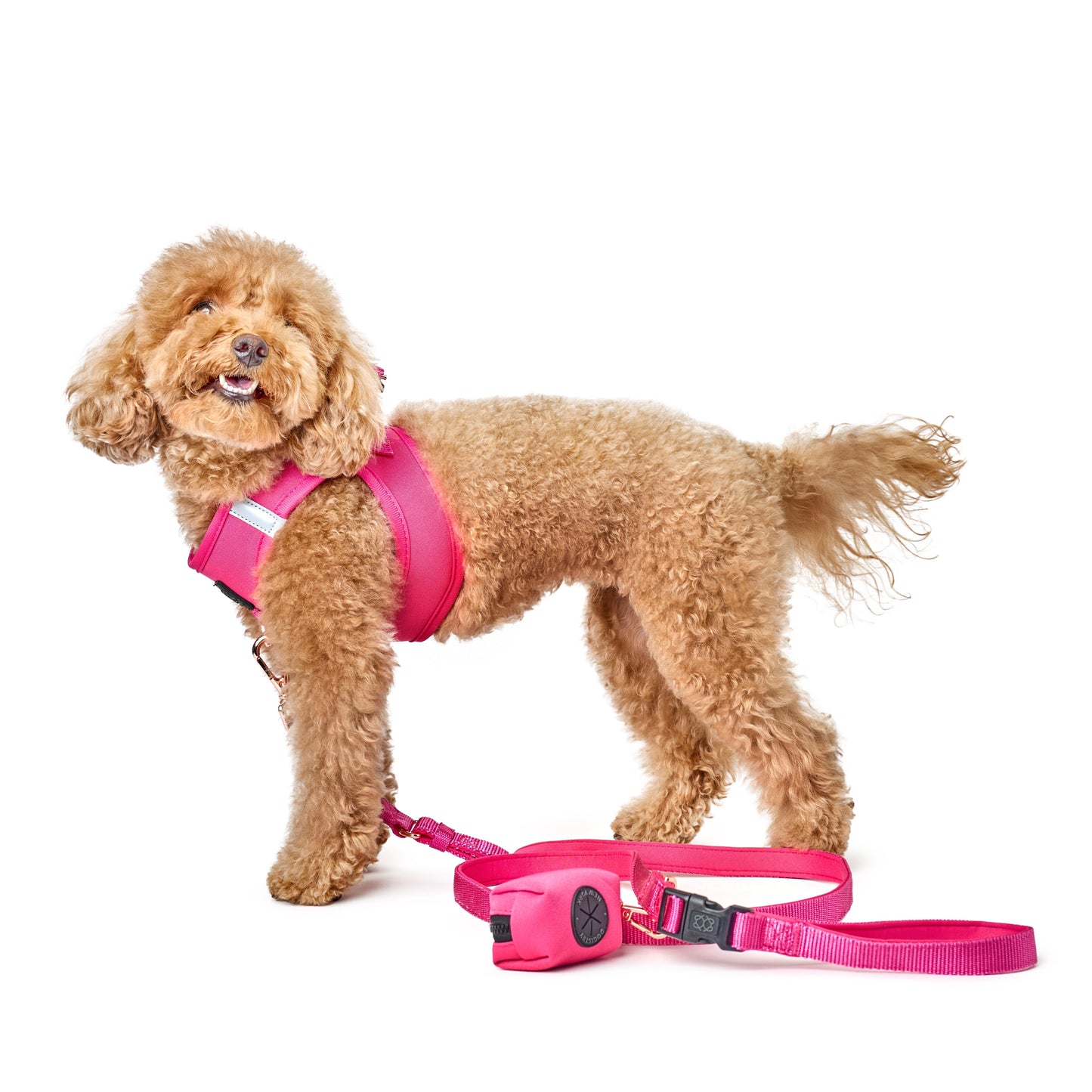 SoHo Dog Walking Set - Park Ave Pink