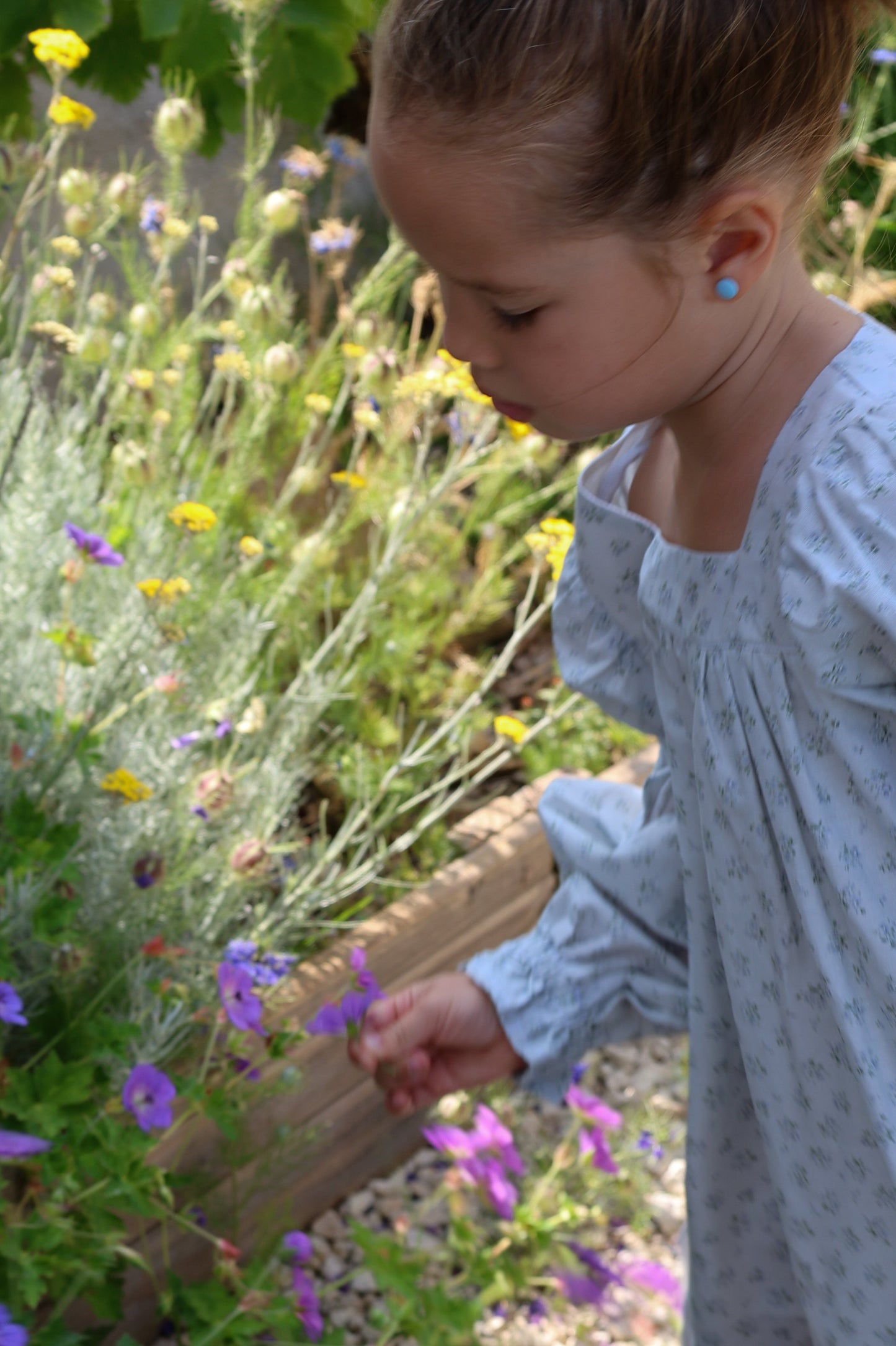 Fiona Dress-Fleur de Brume