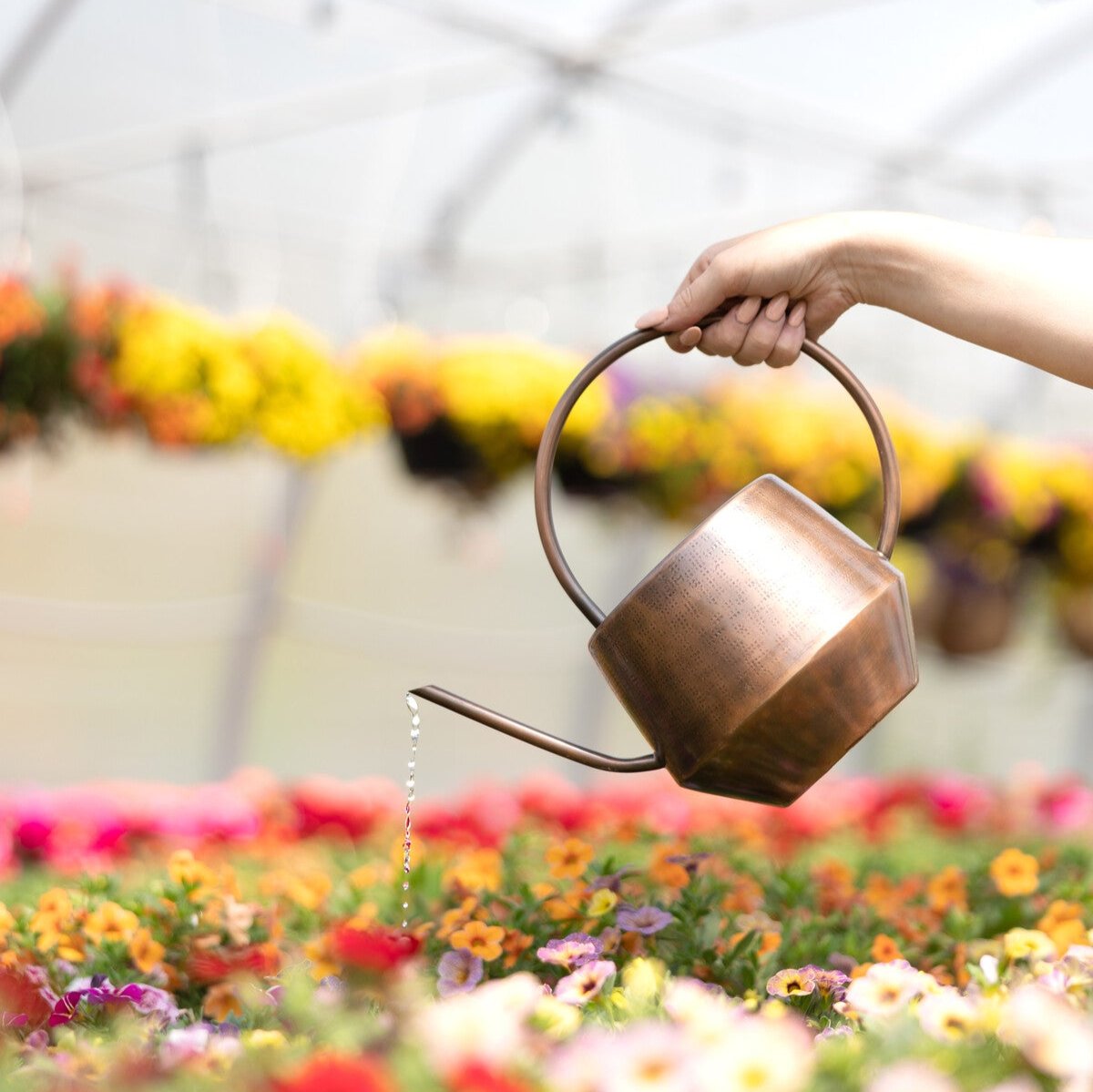 Antique Copper Watering Can - Osadia Concept Store