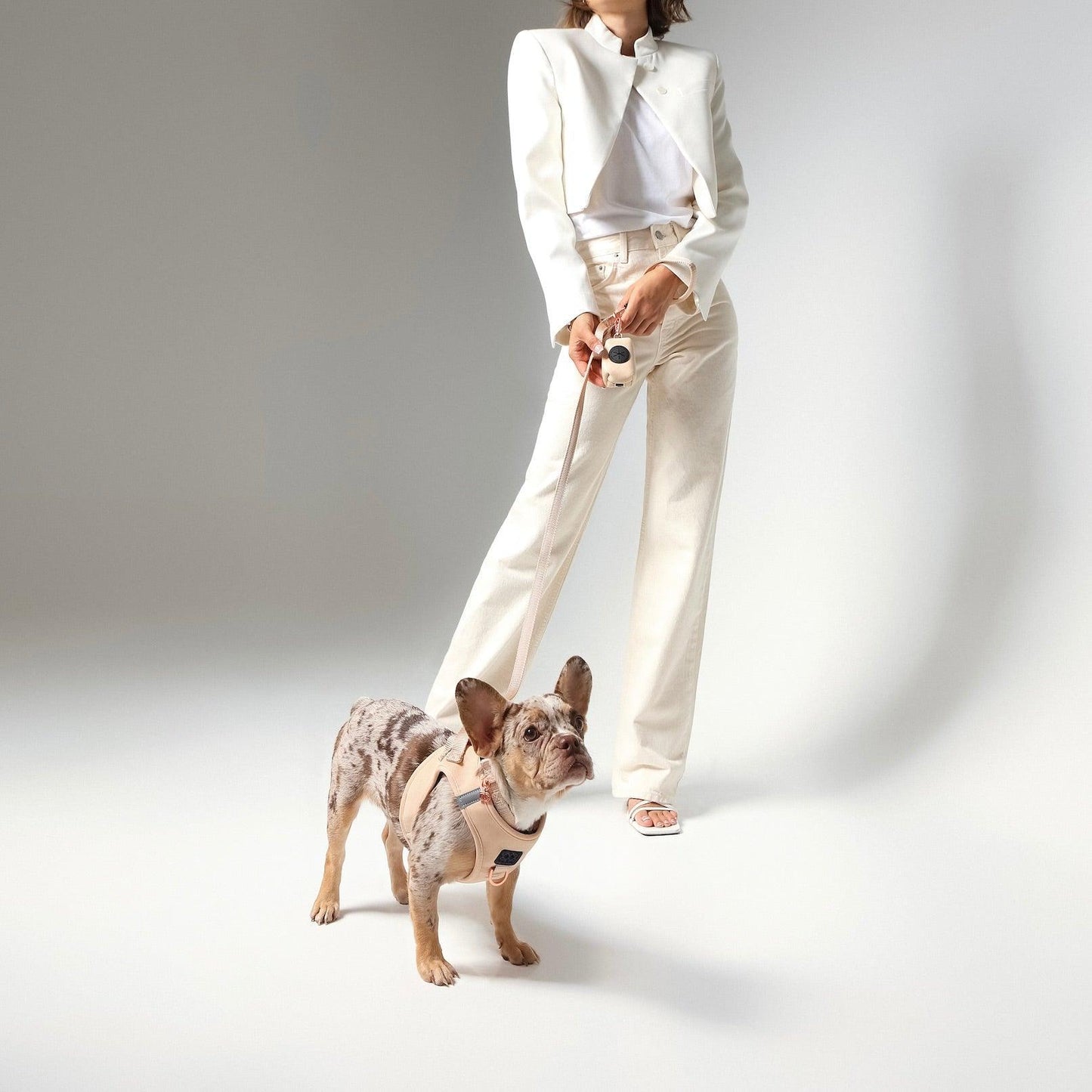 SoHo Dog Walking Set - Dune