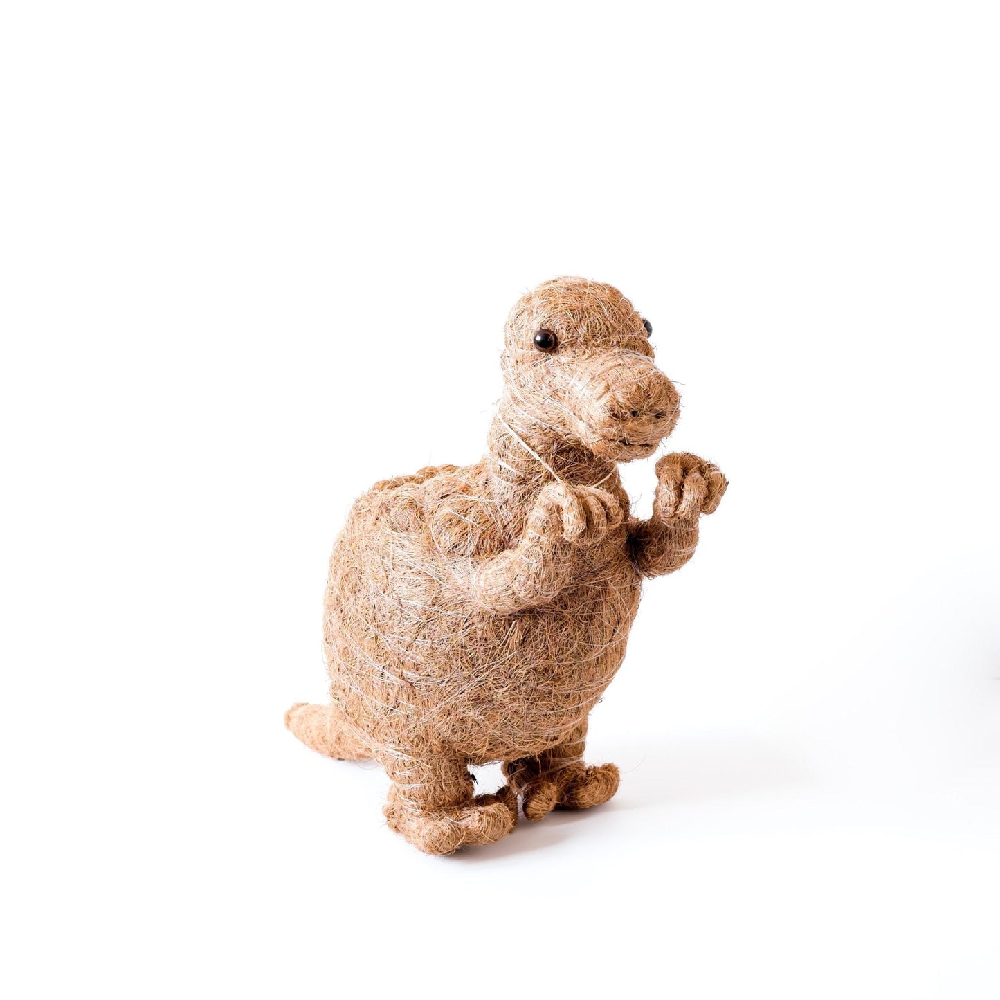 T-Rex Planter