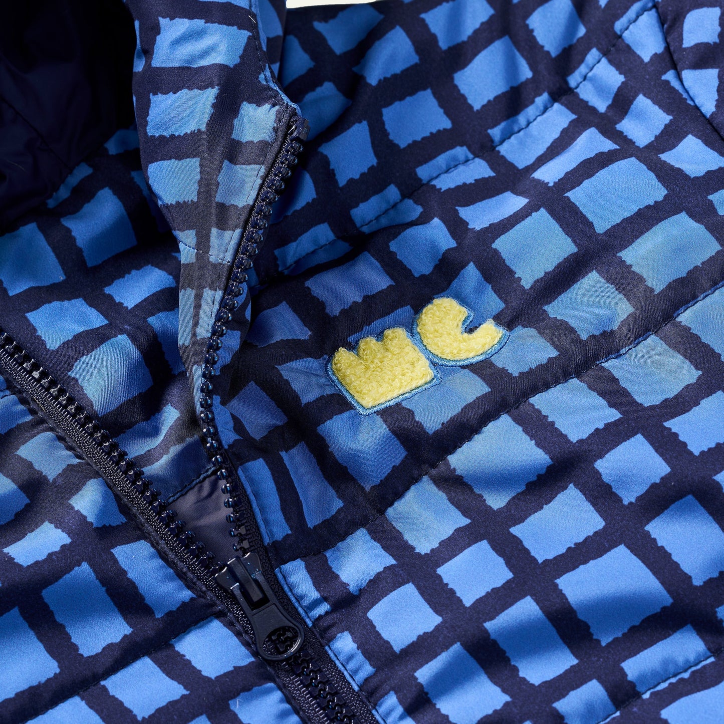 Blue Grid Puffer