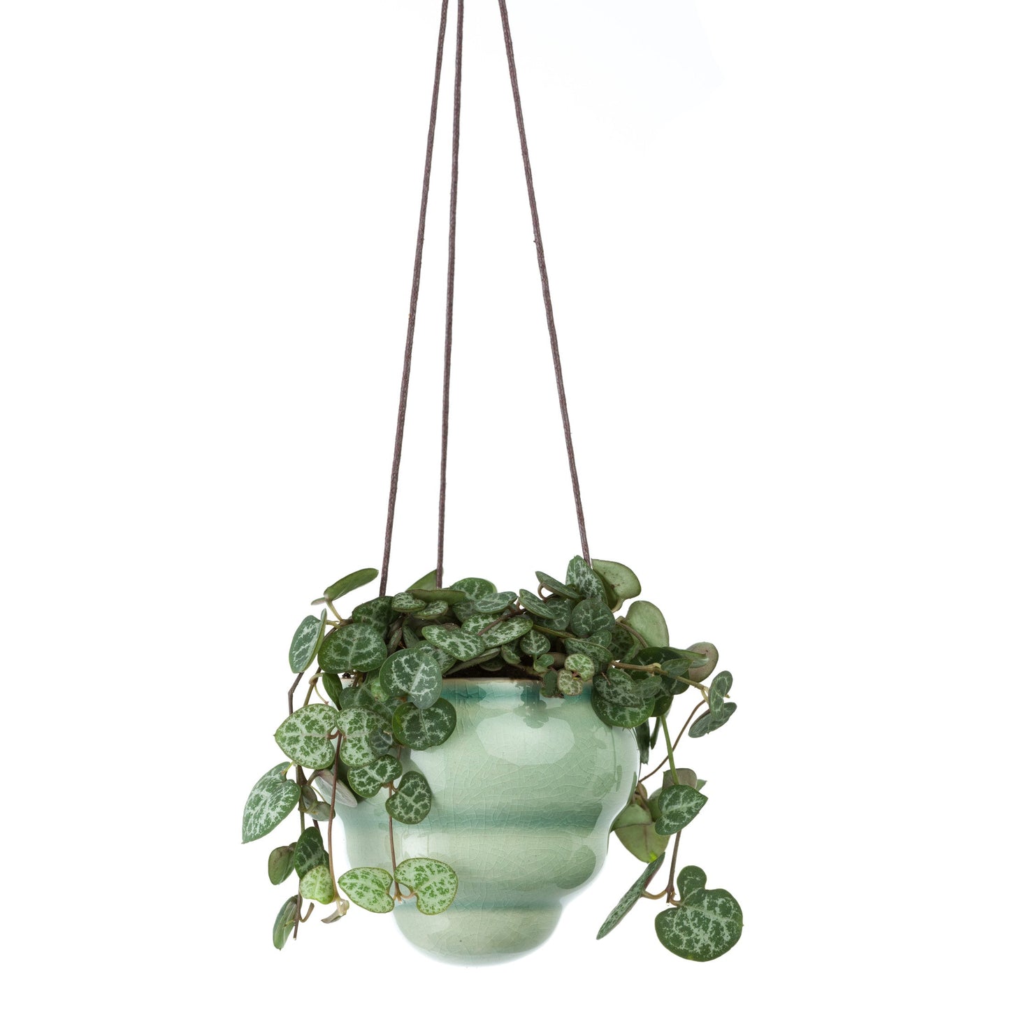 Burgon & Ball® Hanging Baby Bombini Trio Vases
