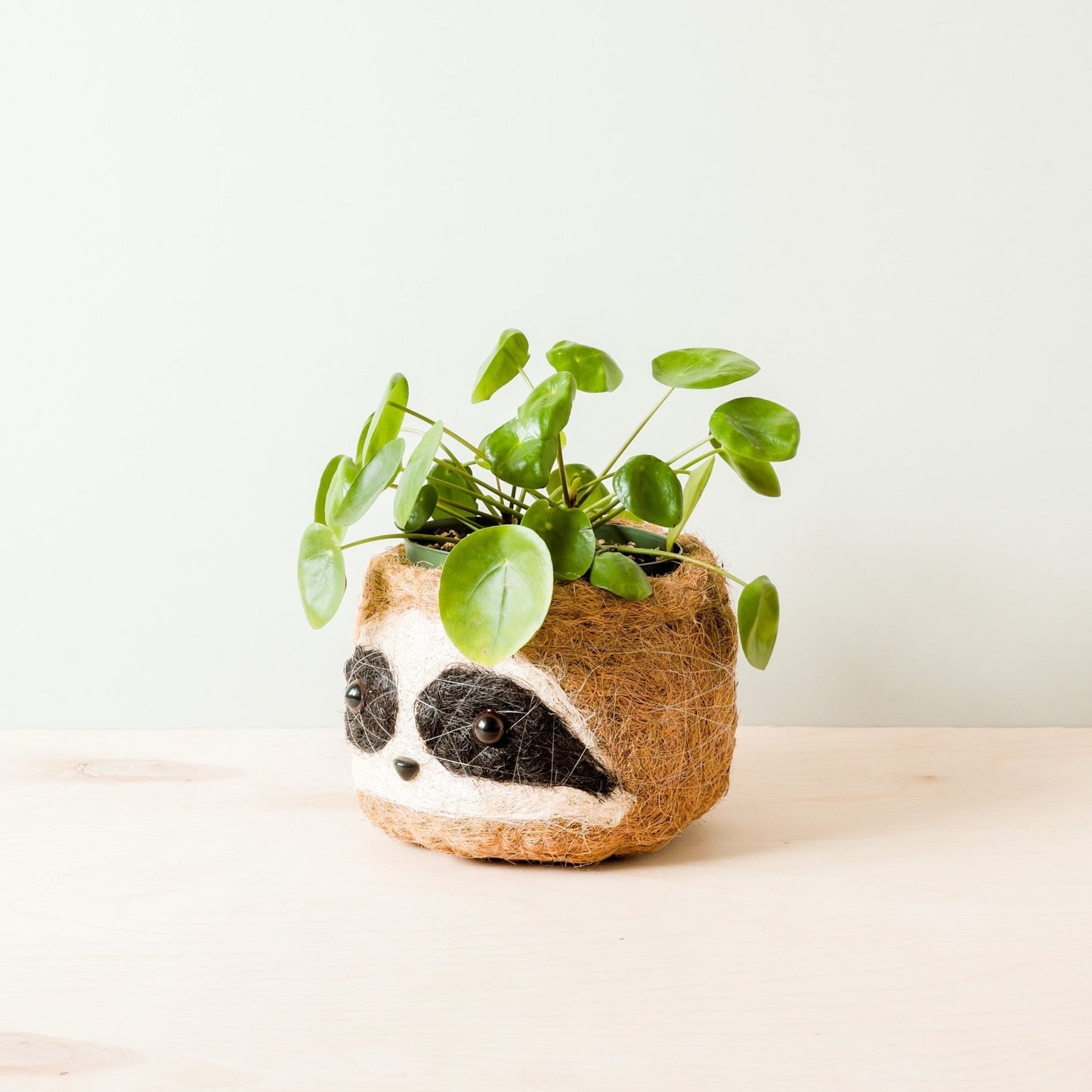 Large three-tone Sloth - Coco Coir Pots (6 inch) | LIKHÂ
