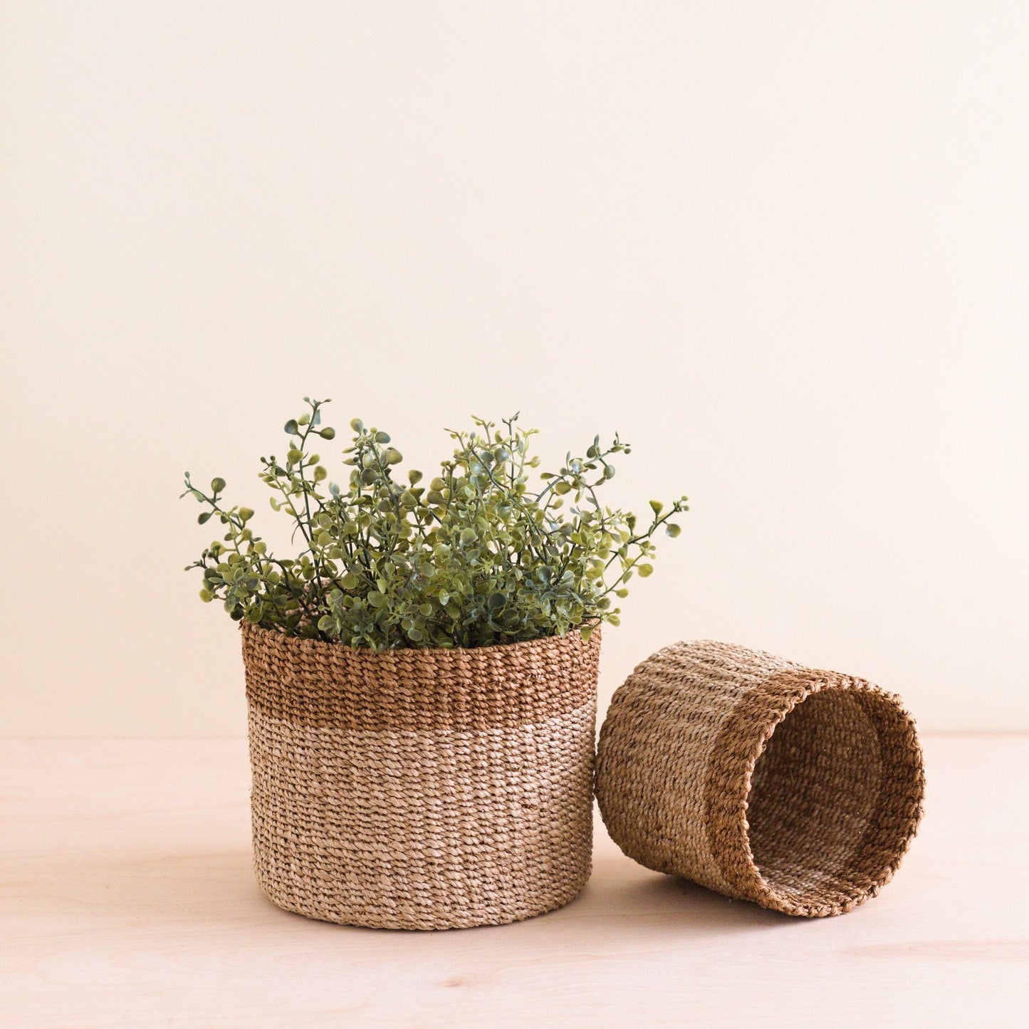S/2 Natural + Brown Tabletop Bins