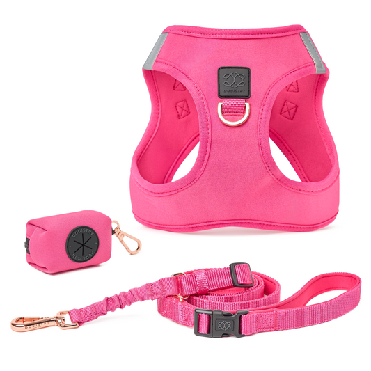 SoHo Dog Walking Set - Park Ave Pink