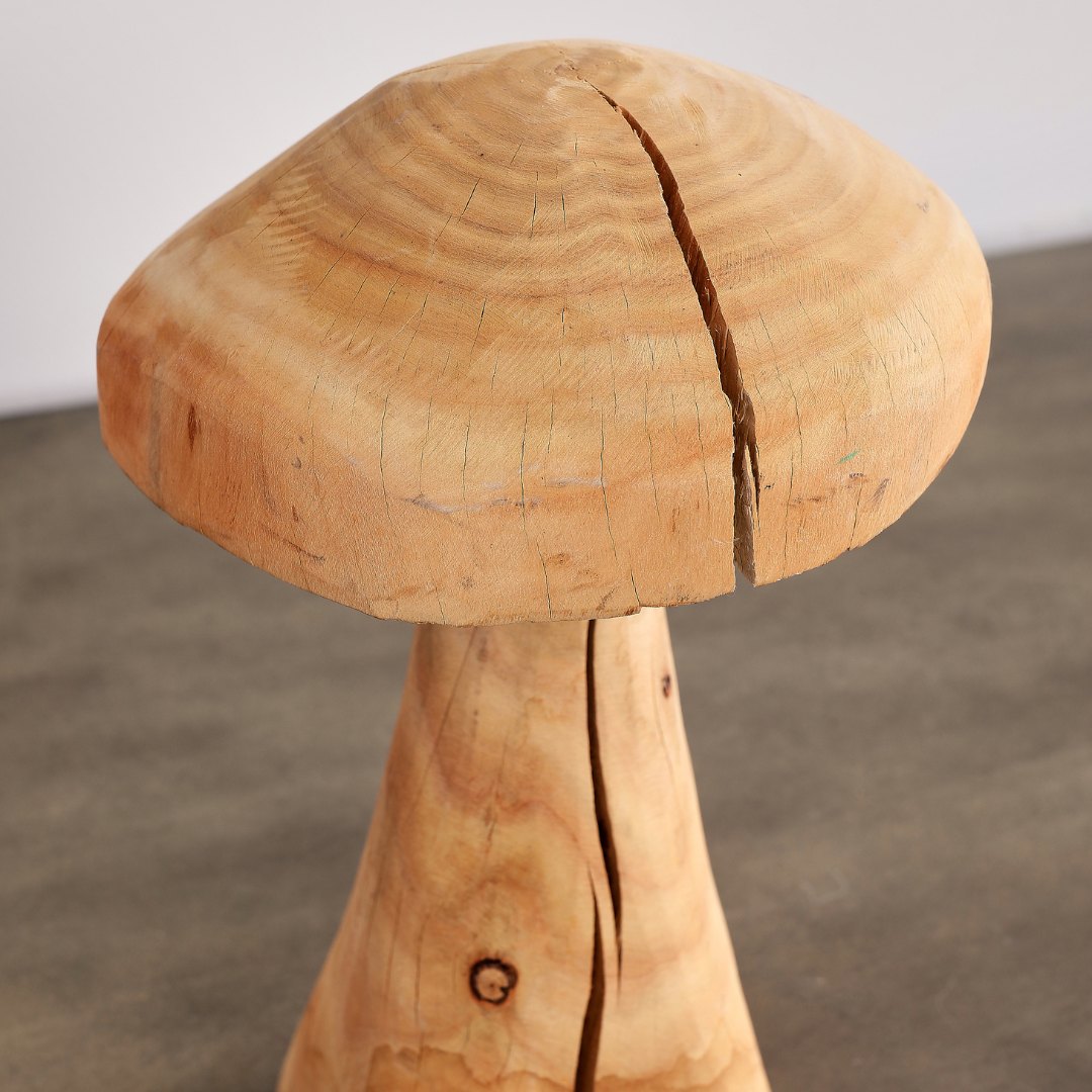 Eucalyptus Mushroom Sculpture