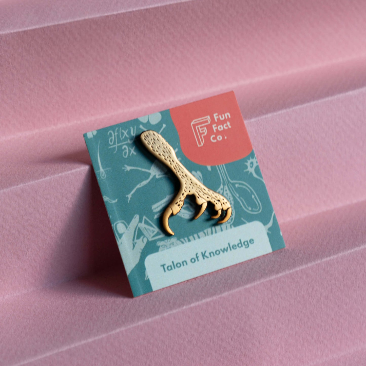 Talon Of Knowledge Pin
