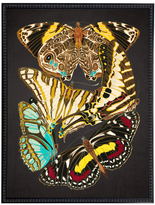 Vintage bright multi butterfly print on a distressed black background in a beaded black frame sized 18x24