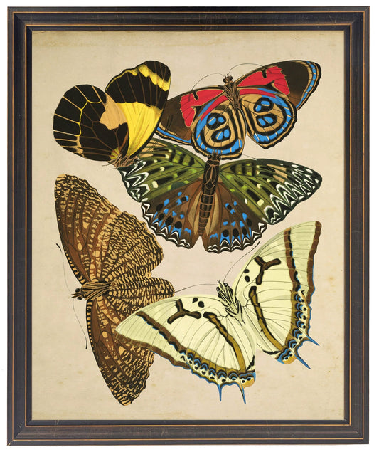 Vintage bright multi butterfly print on a distressed background in a copper and black shaped frame sized 18x24