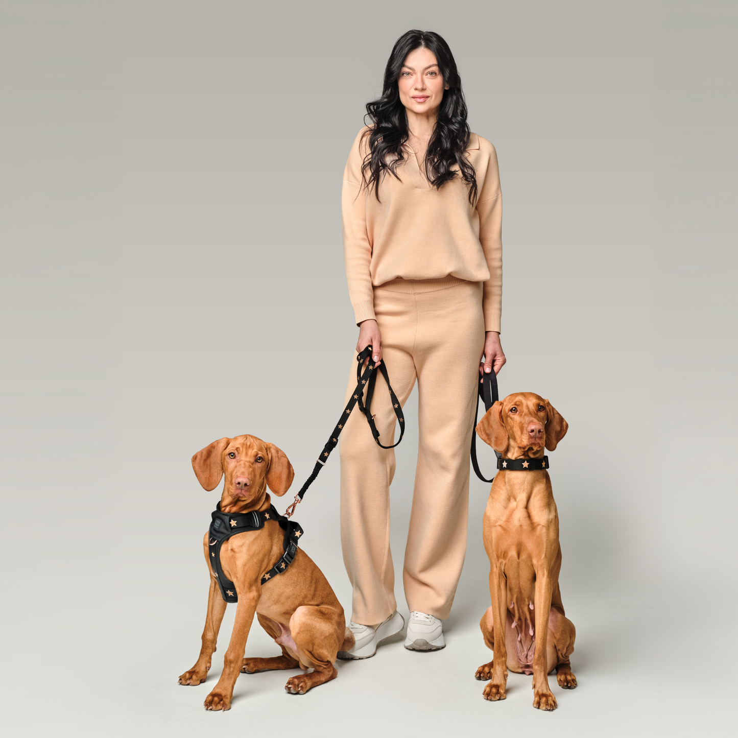 City Collar - Rockstar