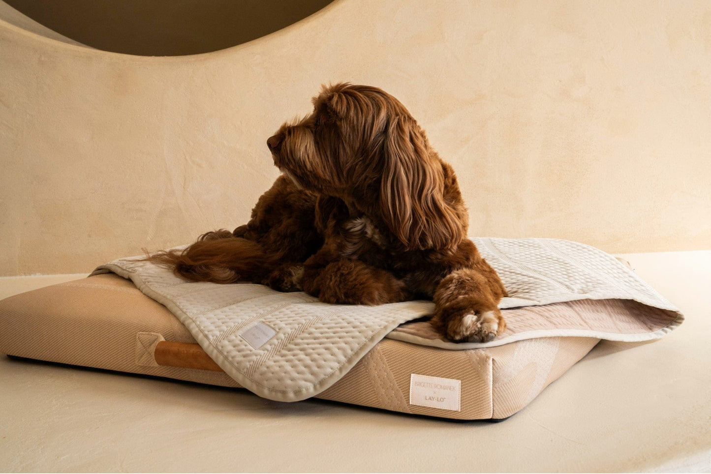 Brigette Romanek | Luxury Pet Throw Blanket - Cream