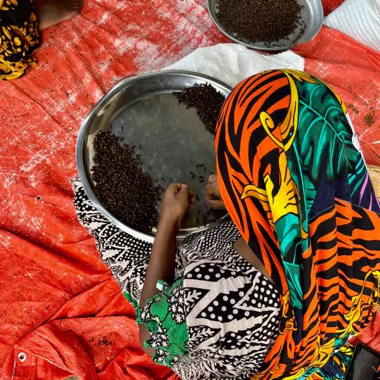 Tandoori Spice Blend | Zanzibar Islands, Tanzania