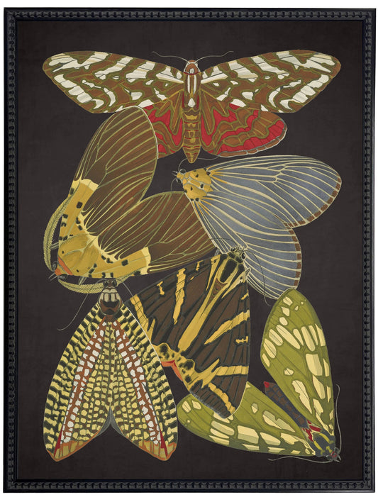 Vintage bright multi butterfly print on a distressed black background in a beaded black frame sized 18x24