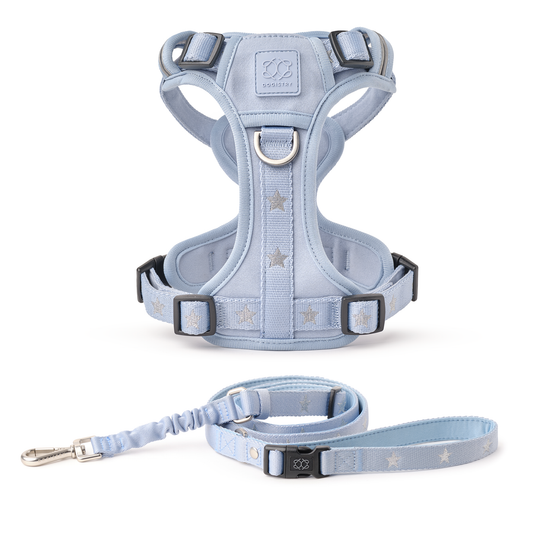 NoMad City Leash Set - Rockstar Hudson