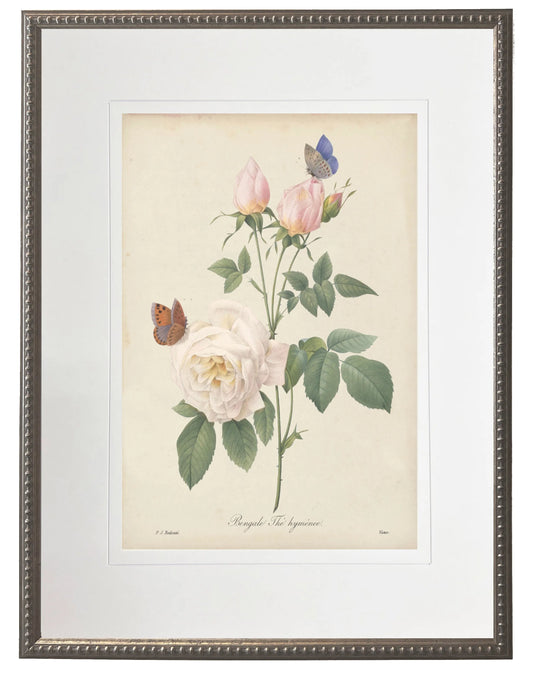 Vintage pink rose print matted in a cream mat in a beaded pewter frame sized 16x20