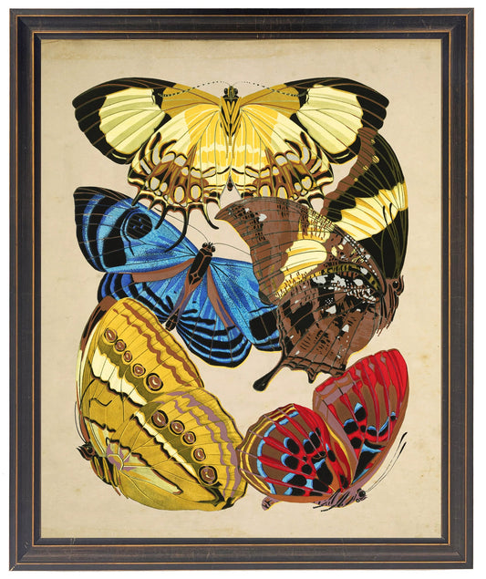 Vintage bright multi butterfly print on a distressed background in a copper and black shaped frame sized 18x24
