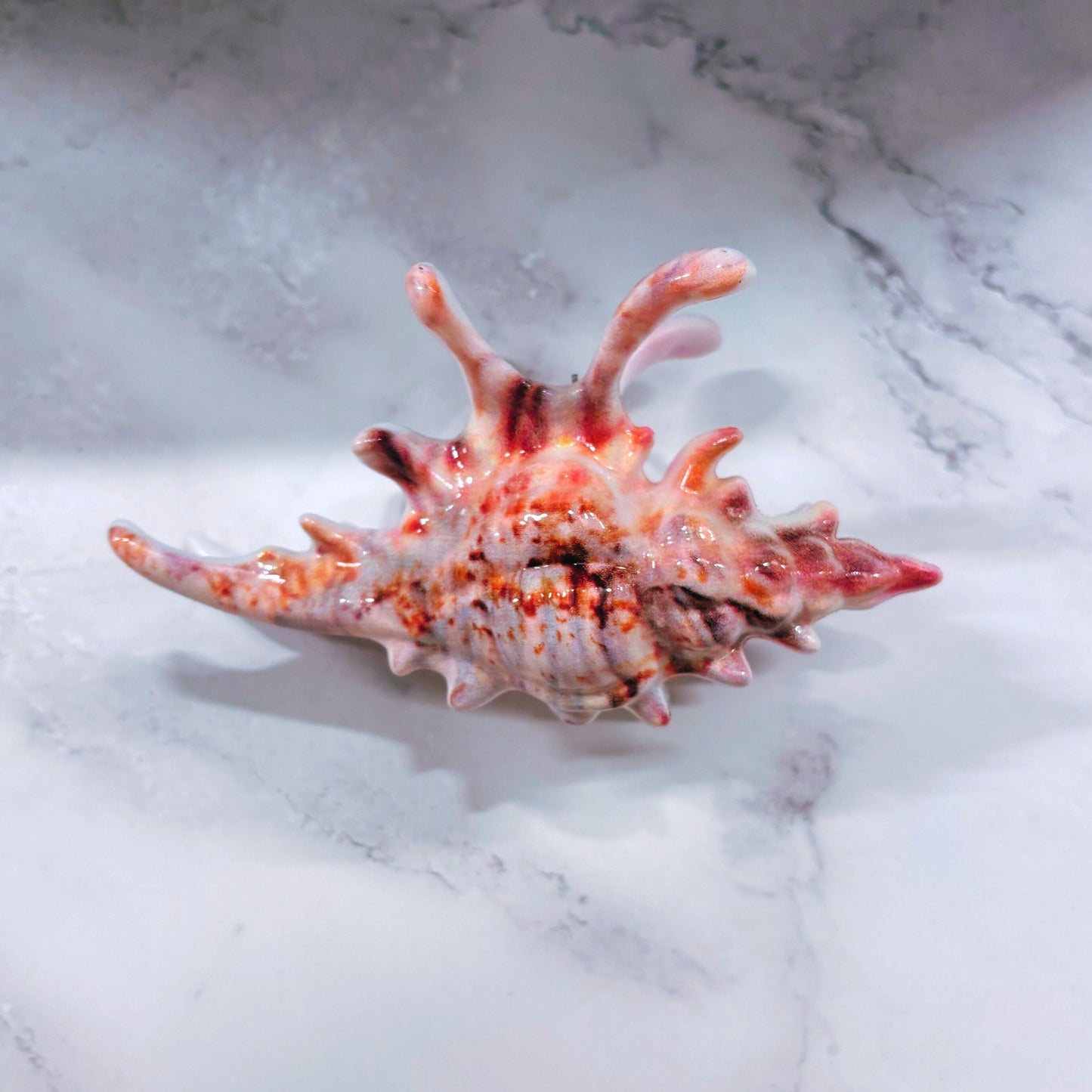 Velvet Claws Realistic Conch Shell Hair Claw in Natural Brown and White | Claw Clip in Velvet Travel Bag