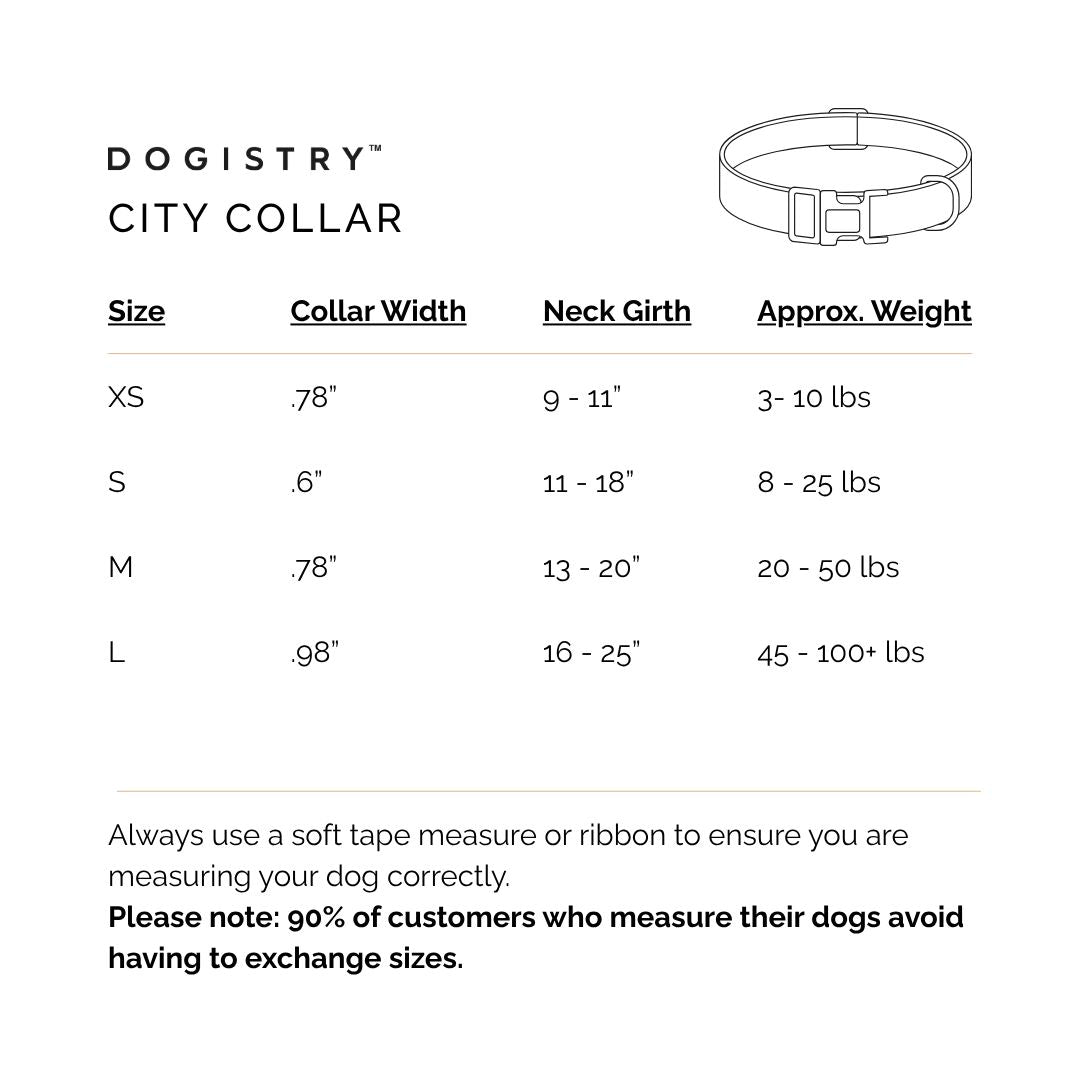 City Collar - Hamptons