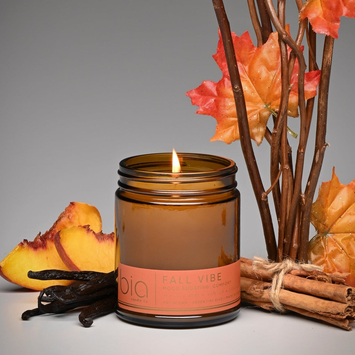 Fall Vibe Functional Fragrance Soy Blend Candle — Spiced Fruit, Cedarwood & Vanilla