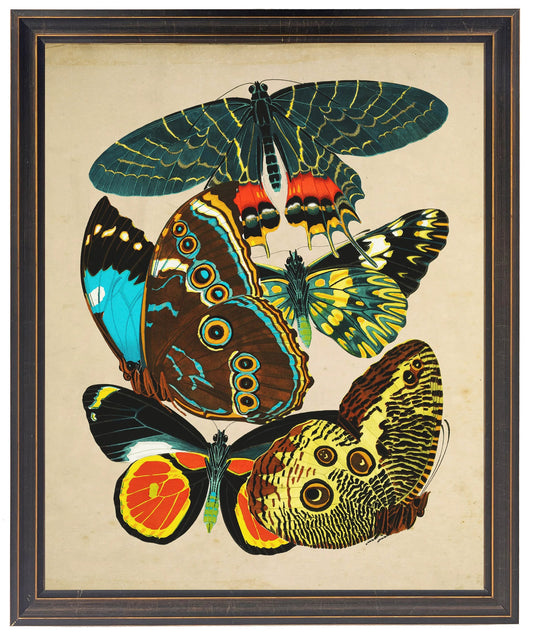 Vintage bright multi butterfly print on a distressed background in a copper and black shaped frame sized 18x24