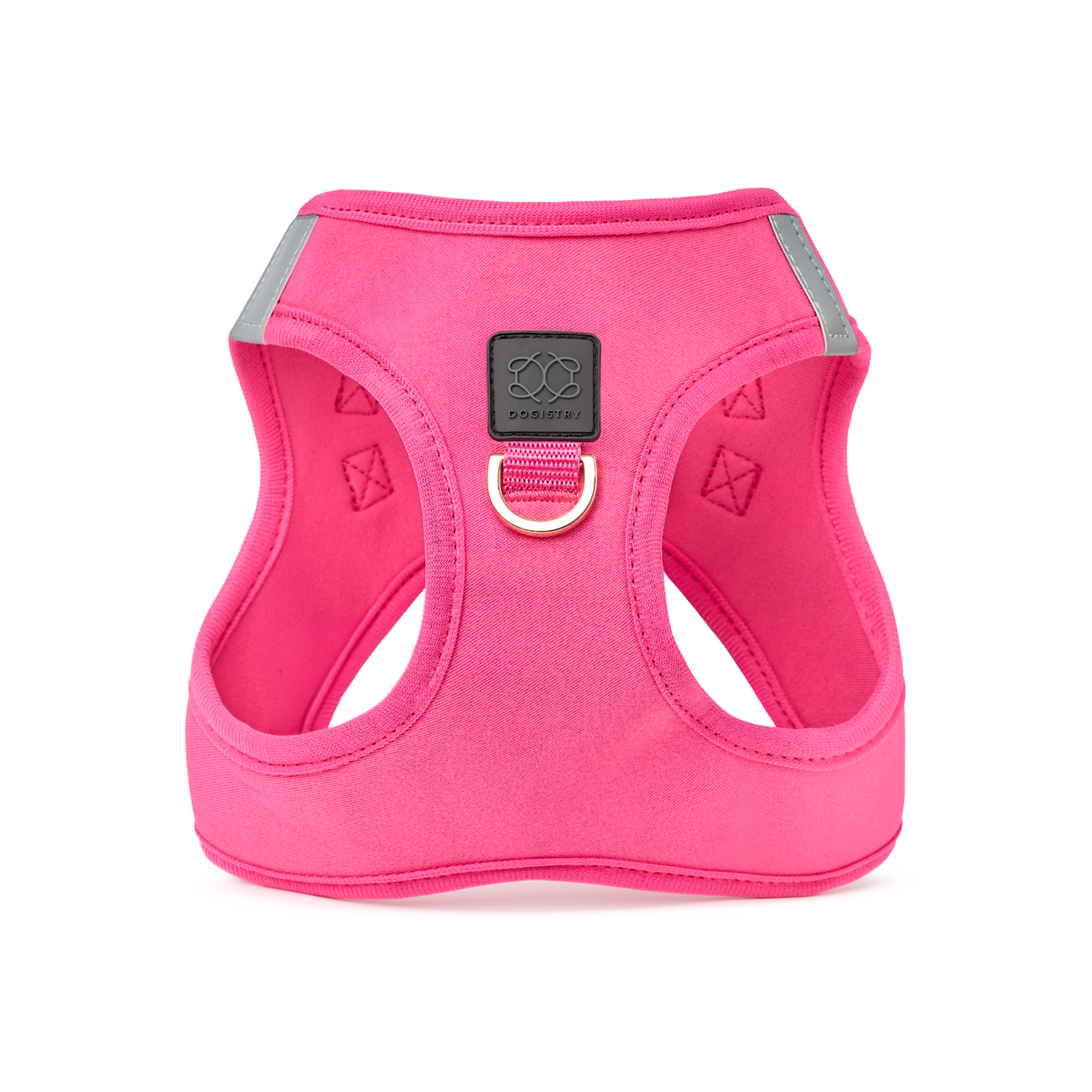 SoHo Dog Walking Set - Park Ave Pink