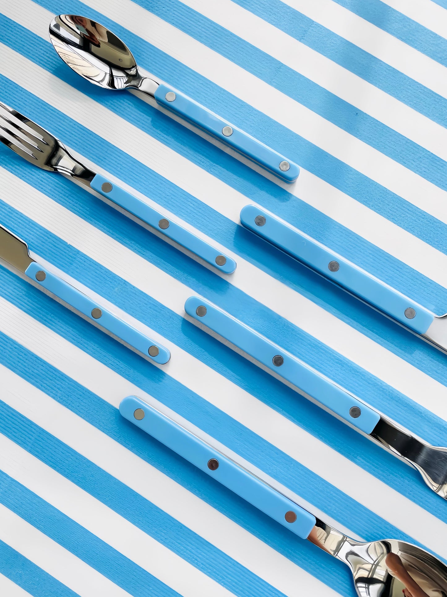 S/10 Dopamine Stainless Steel Rivet Flatware, Contemporary Bistrot Style Cutlery