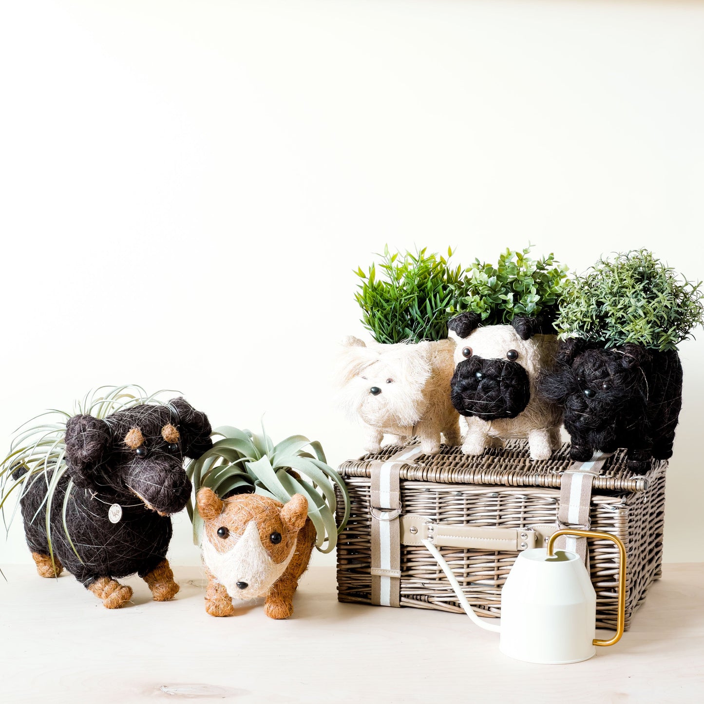 Dachshund Dog Planter - Coco Planter | LIKHÂ