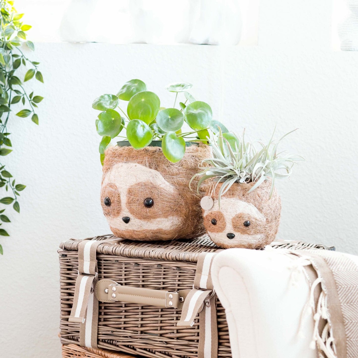 Large two-tone Sloth - Coco Coir Pots (6 inch) | LIKHÂ