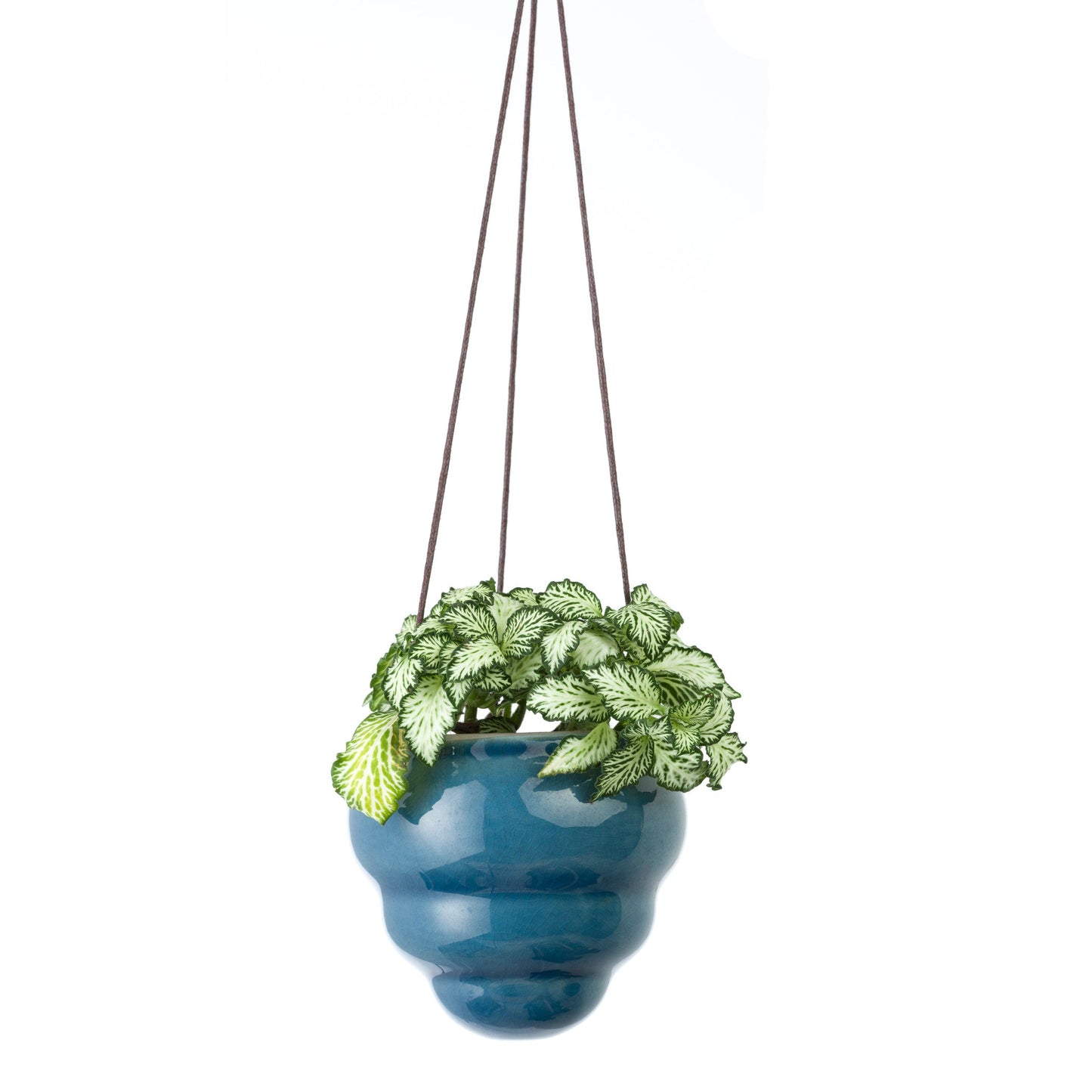 Burgon & Ball® Hanging Baby Bombini Trio Vases