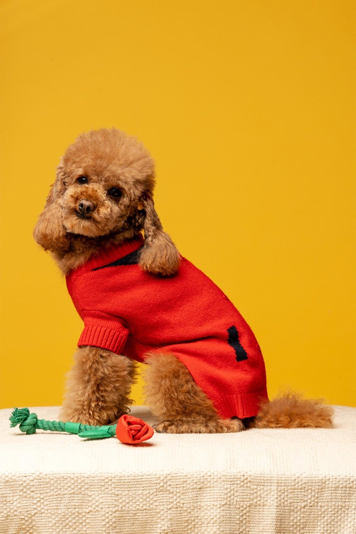 Sophie the Poodle Hair Clip