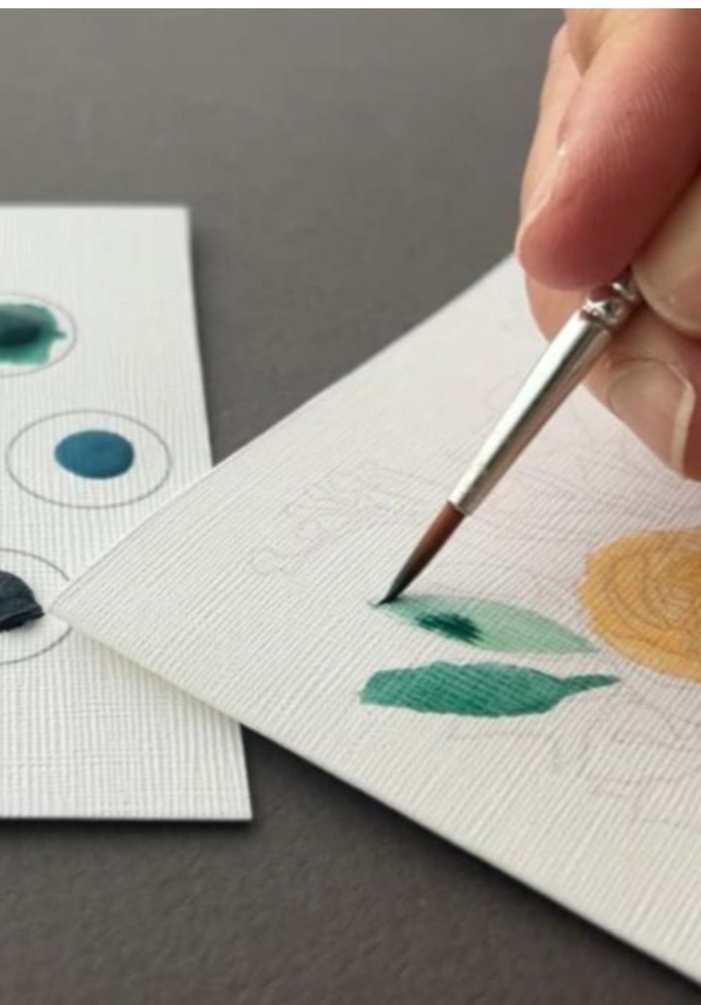 Hummingbird All-In-One Watercolor Kit