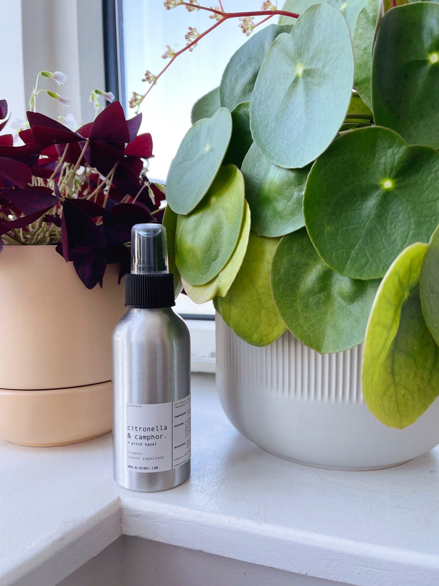 CITRONELLA & CAMPHOR | ORGANIC INSECT REPELLENT