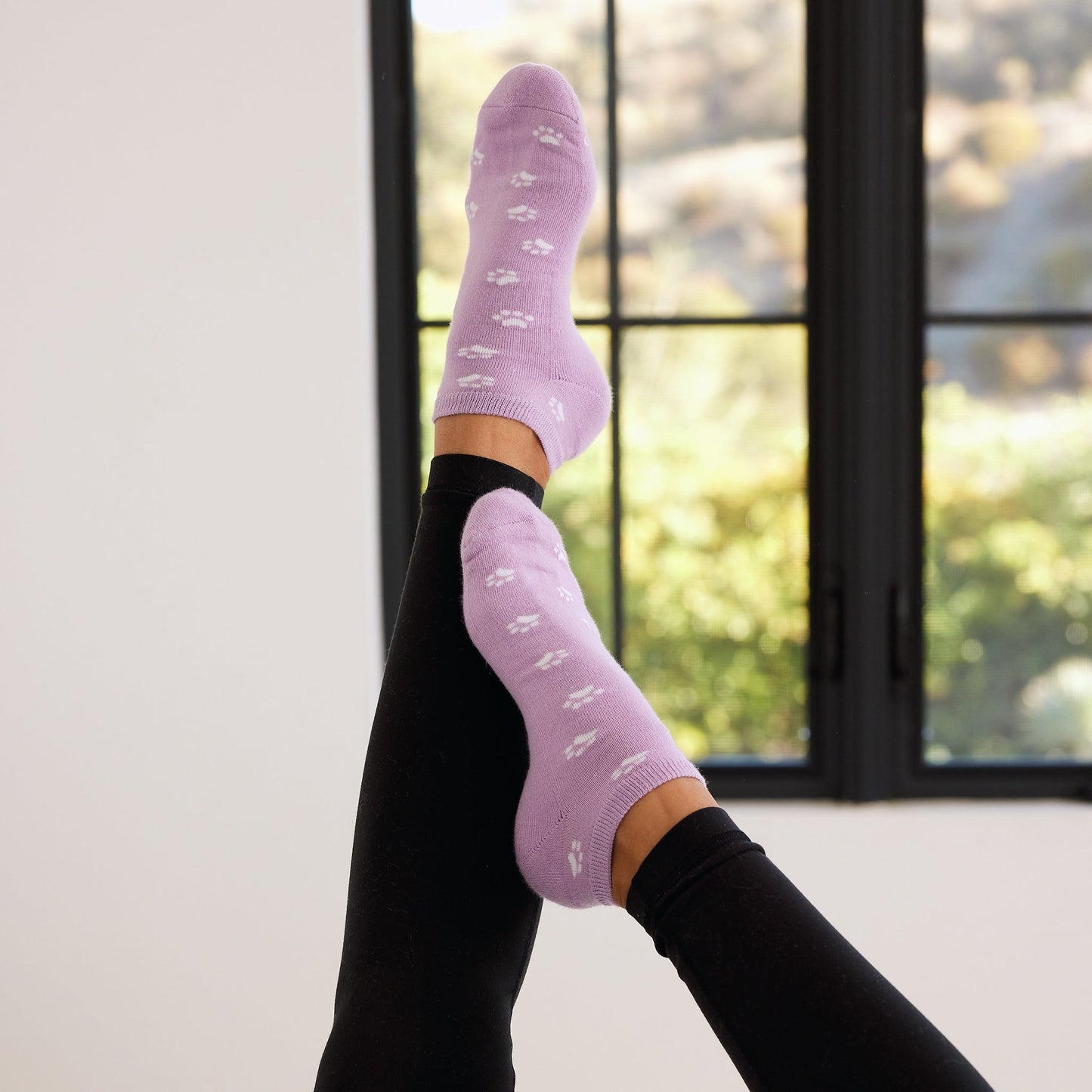 Socks that Save Dogs - Osadia Concept Store