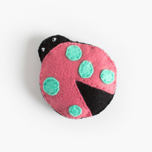 Addie the Unusual Ladybug