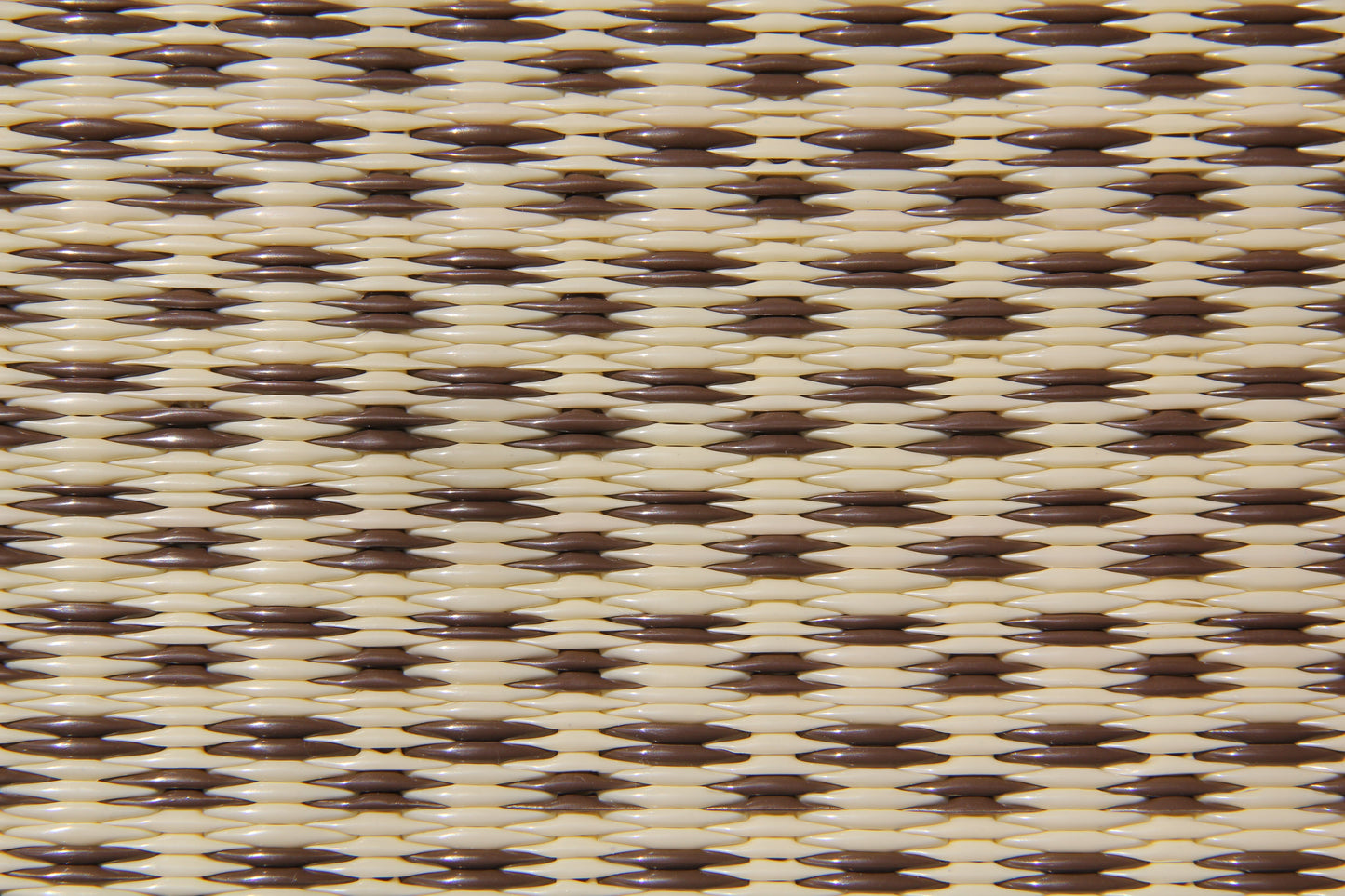 Basic Cream & Brown