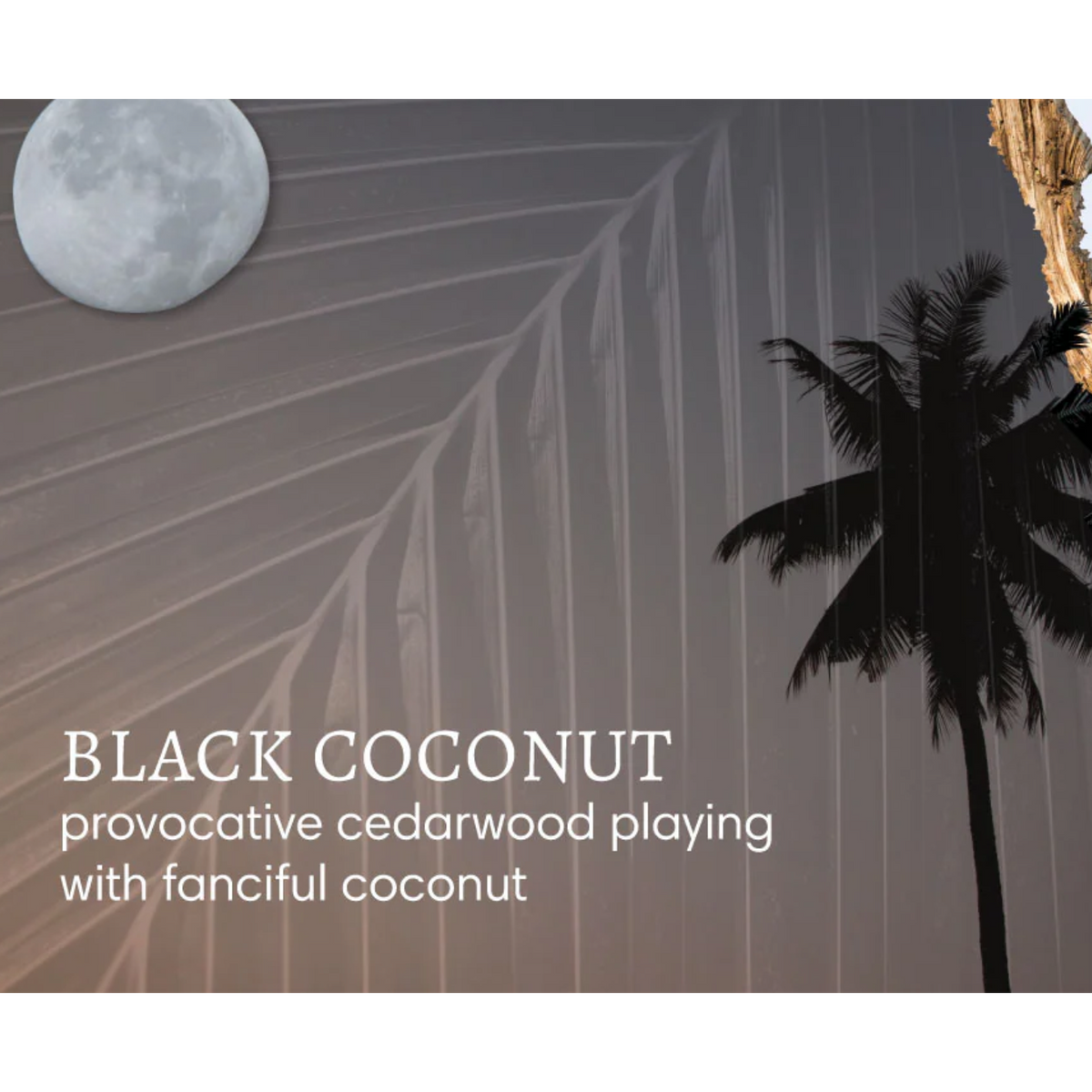 Black Coconut Mini Bath Soak – Himalayan & Dead Sea Salts | Cedarwood Coconut | 100g