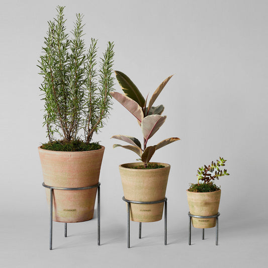 Terracotta Studio Planter, Greenwash