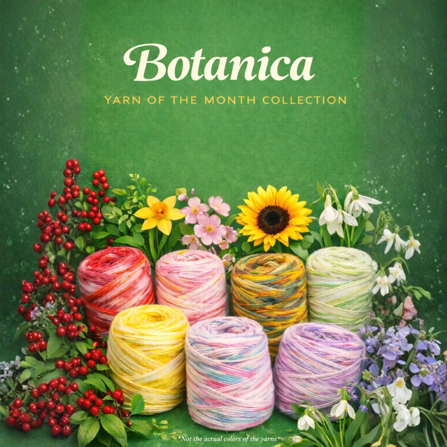 2026 Yarn Of the Month  – Botanica Collection