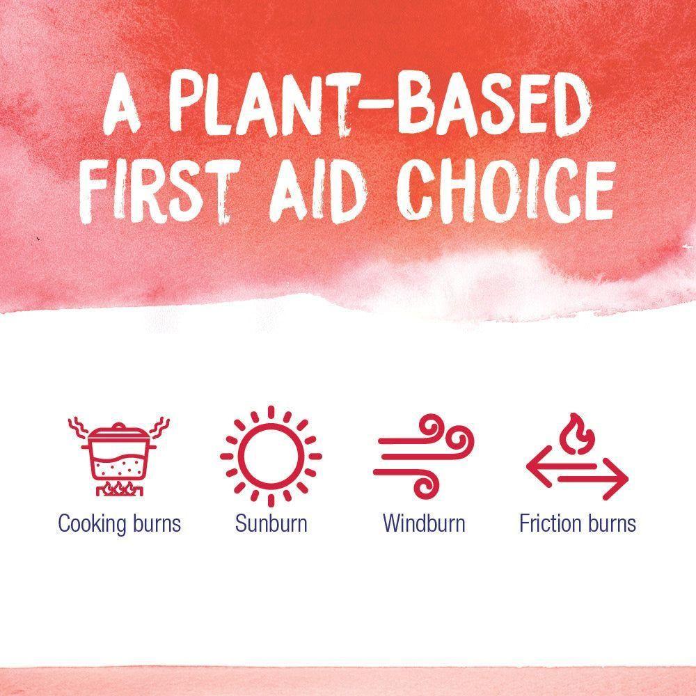 Boiron Calendula Skin Burn Relief Ointment 1 Oz